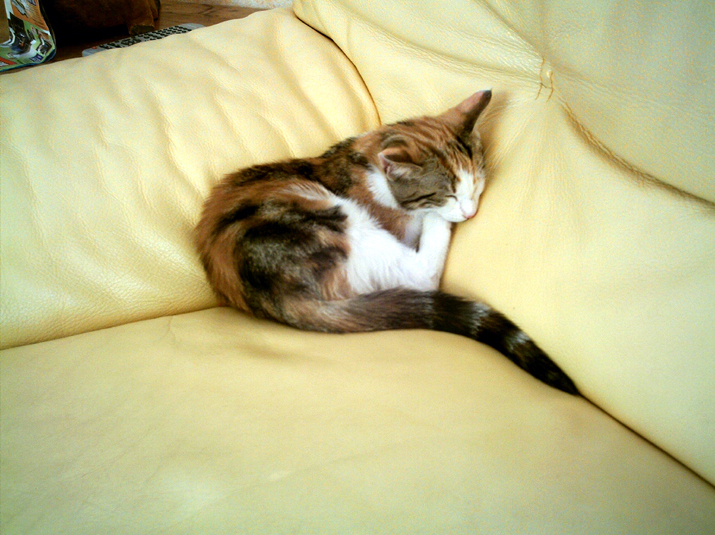 Caramel 08-04 011.jpg